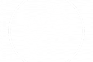 bare business barefoot web design nz