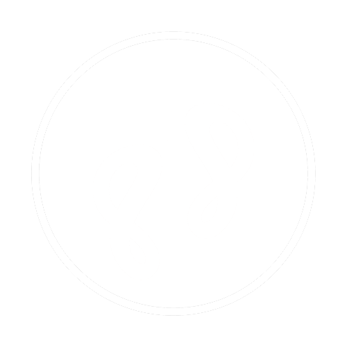 bare business barefoot web design nz