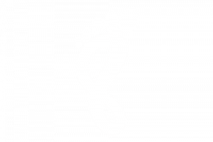 bare minimum barefoot web design nz